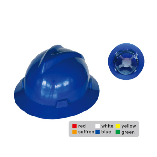 Head Protection