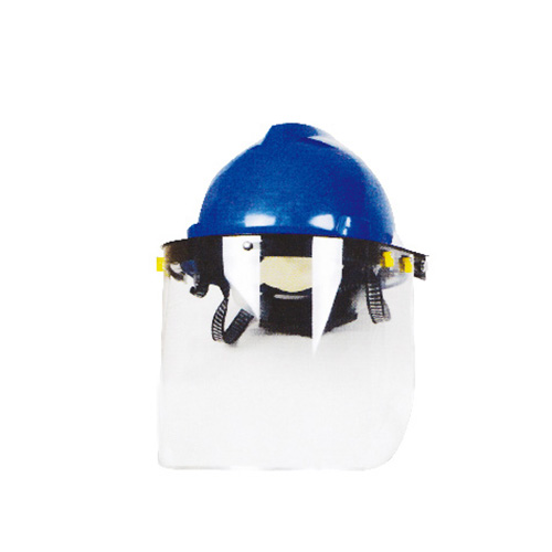 Face Protection