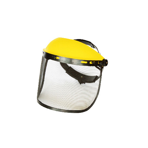 Face Protection
