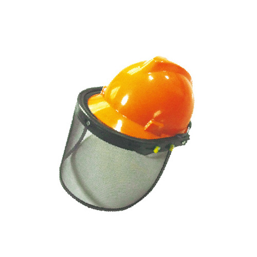 Face Protection
